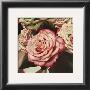 Vintage Rose by Elizabeth Hellman Limited Edition Pricing Art Print