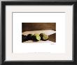 Limes by Rhonda Addison Limited Edition Pricing Art Print
