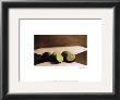 Limes by Rhonda Addison Limited Edition Print