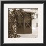 Doors With Vines by Francisco Fernandez Limited Edition Print
