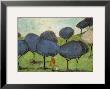 Sniffing The Lilac by Sam Toft Limited Edition Print