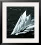 Veteran Boat Rally - Porto Cervo by Carlo Borlenghi Limited Edition Pricing Art Print