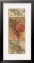 On The Vine Iv by Albena Hristova Limited Edition Pricing Art Print