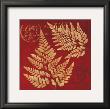 Crimson Fern by Booker Morey Limited Edition Print