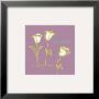 Tulips by Peter Horjus Limited Edition Print