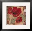 Amapola Roja I by Pamela Luer Limited Edition Pricing Art Print