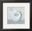 Coastal Cottage Shell Ii by Krissi Limited Edition Print