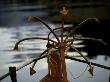 Red Boat Anchor, Chile by Michael Brown Limited Edition Print