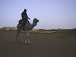 Camel Riding, Morocco by Michael Brown Limited Edition Print