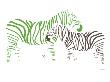 Green Zebra by Avalisa Limited Edition Print