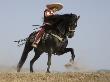 Charro On A Black Andalusian Stallion Galloping In Ojai, California, Usa by Carol Walker Limited Edition Print