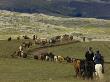 Icelandic Horses And Riders, Riding Near Landmannalaugar, Iceland by Inaki Relanzon Limited Edition Print