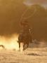Cowboy Galloping While Swinging A Rope Lassoo At Sunset, Flitner Ranch, Shell, Wyoming, Usa by Carol Walker Limited Edition Print