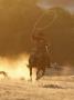 Cowboy Galloping While Swinging A Rope Lassoo At Sunset, Flitner Ranch, Shell, Wyoming, Usa by Carol Walker Limited Edition Pricing Art Print