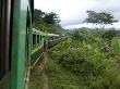 Train Travelling Betwen Manakara And Fianarantsoa, Madagascar by Inaki Relanzon Limited Edition Print