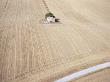 Small Traditional Barn Surrounded By Large Field, Valensole, Provence, France, June 2004 by Inaki Relanzon Limited Edition Print