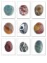 Collection Of Smooth Pebbles From Auchmithie Beach, Angus, Scotland, Uk by Niall Benvie Limited Edition Print