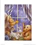 Teddy Bear Stars by Jerianne Van Dijk Limited Edition Print