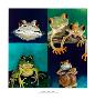 Frogs I Have Known by Stacy Bridenhagen Limited Edition Pricing Art Print