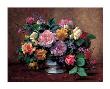 Summer Arrangement by Albert Williams Limited Edition Pricing Art Print