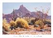 Pinnacle Peak Springtime by Kerry Kinman Limited Edition Pricing Art Print