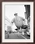 Thanksgiving Day Parade, New York, New York, C.1948 by John Rooney Limited Edition Print