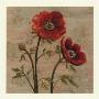 Poppies On Wood by Wendy Wegner Limited Edition Print