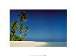 The Maldives by Peter Newton Limited Edition Pricing Art Print