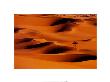 Desert Dunes, Algeria by Frans Lemmens Limited Edition Pricing Art Print