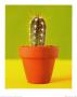 Cactus by Masao Ota Limited Edition Print