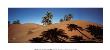 Bruno Barbey Pricing Limited Edition Prints