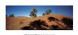 Morocco by Bruno Barbey Limited Edition Pricing Art Print