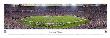 Minnesota Vikings by James Blakeway Limited Edition Print