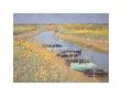 Fields Near Arles by Nic Phillipson Limited Edition Pricing Art Print