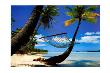 Hammock Hanging Seaside by Randy Faris Limited Edition Print