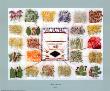 Navajo Dye Chart by Ella Myers Limited Edition Pricing Art Print