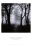 Wooded Bench by Harold Silverman Limited Edition Print