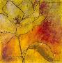 Scripted Bloom I by Jane Bellows Limited Edition Print