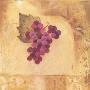 Grapes Galore Iii by Pamela Luer Limited Edition Print