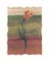 Tulip Abstract I by Sangita Limited Edition Print