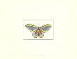 Profile Of A Butterfly Ii by George Shaw Limited Edition Pricing Art Print