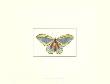 Profile Of A Butterfly Ii by George Shaw Limited Edition Pricing Art Print