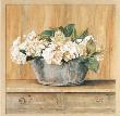 Les Fleurs Blanches, Hortensias by Laurence David Limited Edition Print