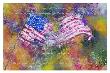 Rocket's Red Glare by Anita Reed-Davis Limited Edition Print