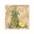 Abundant Harvest Ii by Deborah K. Ellis Limited Edition Pricing Art Print