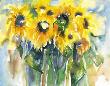 Sonnenblumen by Christian Ohland Limited Edition Pricing Art Print