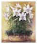 White Lilies In Bowl by Rian Withaar Limited Edition Print