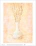 Pussy Willow In Blue And White Vase by Robin Shirley Limited Edition Print