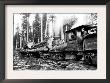 Logging Train by Clark Kinsey Limited Edition Print