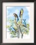 The Sparrow Hawk by Theodore Jasper Limited Edition Print